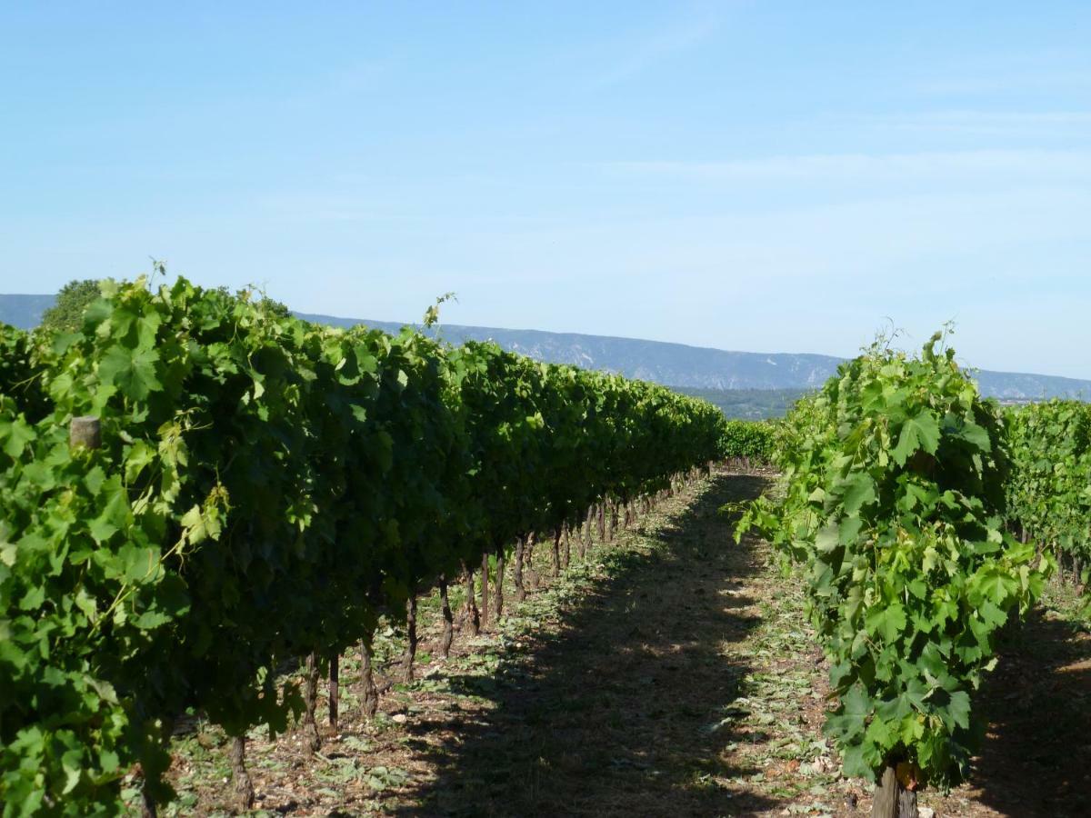 Luberon & Lavandes Roussillon  Bagian luar foto