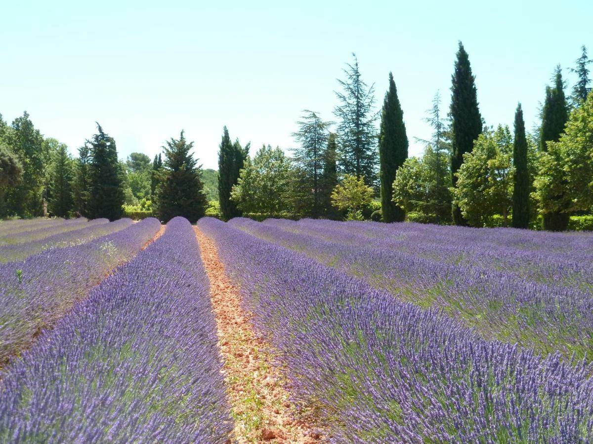 Luberon & Lavandes Roussillon  Bagian luar foto